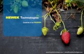 Hewek Technologies  - Mobile apps ad