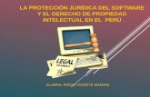 La proteccion jurdica