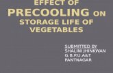 Precooling of vegetables