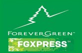 Fgxpress Forever Green