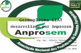 Germoplasma CIAT desarrollado por Anprosem