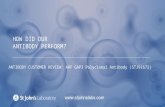 Western Blot Antibody Customer Review for ARF GAP3 Polyclonal Antibody (STJ91672)