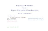 "Squeezed States in Bose-Einstein Condensate"