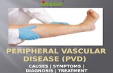 Peripheral vascular disease (pvd)