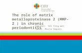 The role of matrix metalloproteinase 2