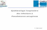 Epidémiologie hospitalière des infections à Pseudomonas aeruginosa