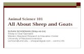 An overview of sheep and goats
