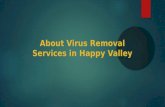 About virus removal services in happy valley