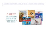 5 best heartworm preventive treatments for dogs