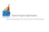 Seo (Search Engine Optimization)