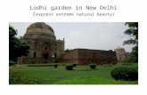 LODHI GARDEN ( a beautiful lovely garden )