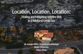 Location, Location, Location: Finding and Mitigating Wildfire Risk in a Wildland-Urban Sea