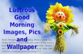Lustrous Good Morning Images, Pics And Wallpaper