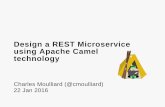 MicroService and MicroContainer with Apache Camel