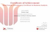 Certificate for Business Analysis