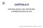 Aparelho cardiovascular histologia 02