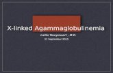 X-linked Agammaglobulinemia