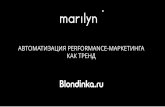 14 marylin 2017-02_pd_shvets_kozlova_automation