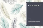 Bio 134 Pathology: Cell injury
