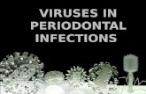 Viruses in periodontics