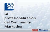Profesionalización del Community Marketing