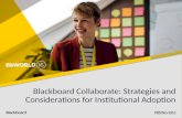 Blackboard Collaborate: Strategies and considerations for institutional adoption