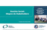 2. mapeo de stakeholders gestión social