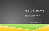testosterone final