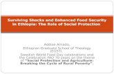 Surviving Shocks and Enhanced Food Security in Ethiopia: The Role of Social Protection