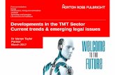Developments in the TMT Sector - Current trends & emerging legal issues