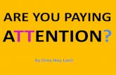 Are you paying attention by orna noy lanir
