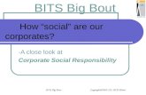 How “Social” Are Our Corporates?