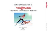 Beck Andor - Viessmann Technika Dombóvár Kft.
