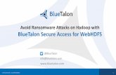 Secure your Hadoop clusters with BlueTalon SecureAccess for WebHDFS