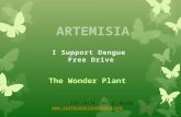 Artemisia Plant