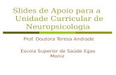 Slides de Apoio para a Unidade Curricular de Neuropsicologia