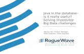 Java in the database–is it really useful? Solving impossible Big Data challenges