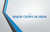 Major crops of india