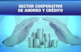 EC484: Sector Cooperativo de ahorro y crédito