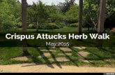 Crispus Attucks Herb Walk