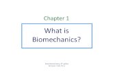 Chapter 1 biomechanic