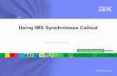 IMS Synchronous Callout