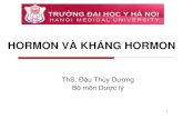 [Duoc ly] hormon   khang hormon - th s duong