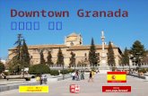 Downtown Granada, Spain (西班牙 格拉那達市區)