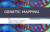 Genetic mapping Plegable