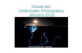 Ocean Art Underwater Photography Winners Announced