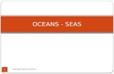 Oceans   seas
