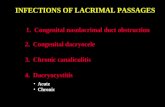 08 infection lacrimal