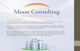 Retainer Packages Moon Consulting