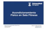 Curso Acondicionamiento Físico en Sala Fitness (3 de 5)